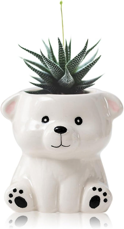 DIYOMR Cute Animals Planter, Mini Ceramic Cartoon Animal Shaped Succulent Flower Pot Indoor Air Plants Holder, Smooth Shiny Decorative Flower Cactus Planter - Plants Not Included (White Bear)