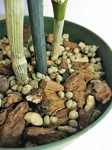 Potting Soil with Perlite, peat Moss, Coconut, Charcoal and Orchid bark for Cattleya Dendrobium Oncidium All Natural Orchid bark Potting Mix for Potting Soil Indoor Plants