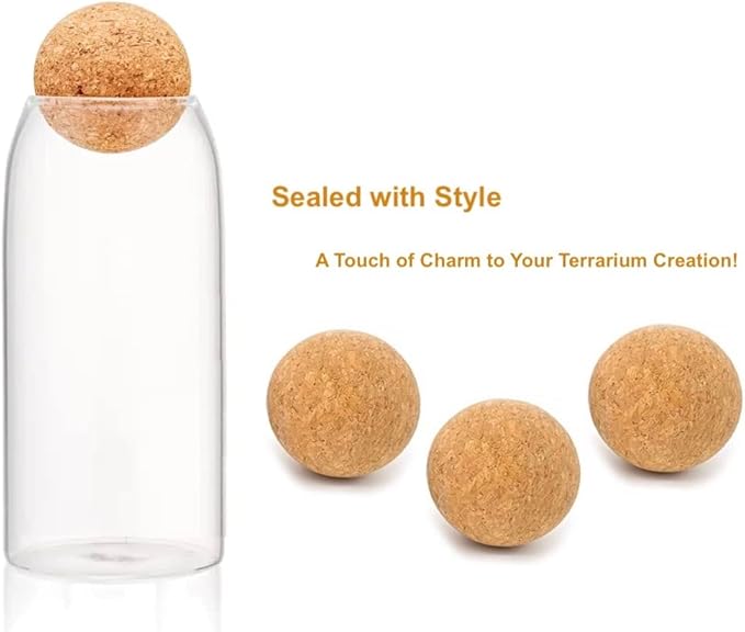 Glass Terrariums with Airtight Wooden Lid (Ball Cork) | Closed Terrarium Planters | Clear Glass Bottle Jar Containers | Set of 3 | Jars for Indoor Plants/Moss (Set of 3 (1200ml / 40oz))