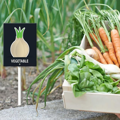Eveokoki Aluminum Seed & Plant Labels - Plant Markes for Seedlings-Plant Tags for Pots - Garden Signs for Vegetable - Durable Markers for Plants Outdoor Waterproof - Garden Decor for Farmhouse