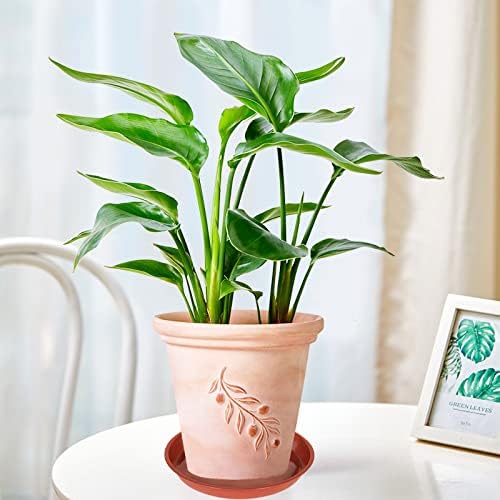 6 Pack of Plant Saucer 14 Inch (12 Inch Base), 14 Inch Plant Saucer, Plastic Plant Trays for Pots, Plant Saucers for Indoors Round, Planter Tray for Planter 11"/12"/13" (14", Terracotta)