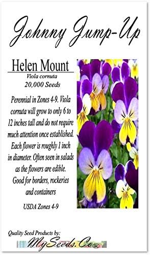 Big Pack - Johnny Jump Up Flower Seeds (20,000 Seeds) - Viola cornuta 'Helen Mount' - Edible Flower Seeds (Big Pack - Johnny Jump Up)