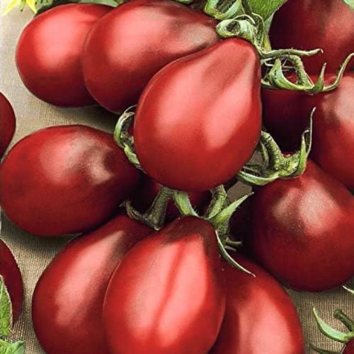 Seeds Vegetable Black De Barao Tomato - 40 Seeds