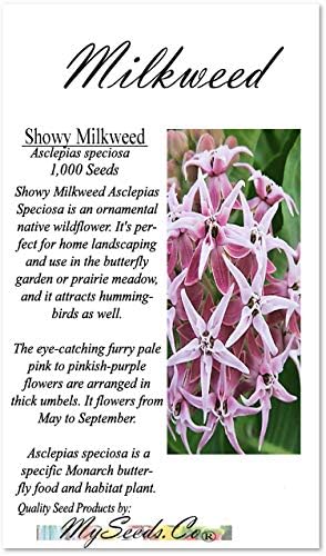 All 5 Big Packs - Common, Tropical Sunset, Showy, Swamp, and Butterfly Milkweed Seeds, Asclepias Species (All 5 Big Packs)