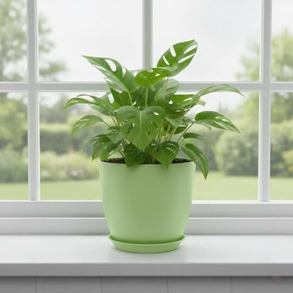 Plant Pots 8 Inch Set of 6, Flower Pots with Drainage Holes and Saucer, Plastic Garden Planters for Indoor & Outdoor Plants (Green)