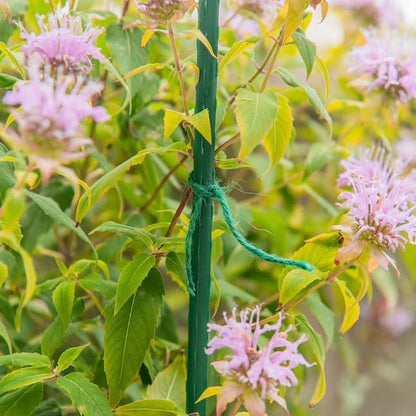 Rocky Mountain Goods Green Jute Twine Heavy Duty 200 ft - 3 Ply Strong Soft Natural Fiber for Plants, Gardening - Soft Jute Wont Harm Plants - Climbing Plants, Tomatoes