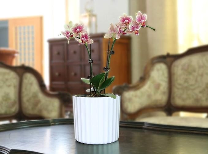 MUZHI Orchid Pot with Net and Holes, Round Self Watering Planter Pot for Indoor Plants and Flowers 3 Sets White