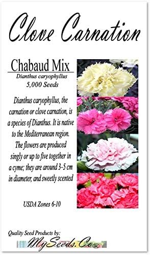 Big Pack - Clove Carnation Seed (5,000 Seeds) - Dianthus caryophyllus Chabaud Mix - Edible Flower Seeds (Big Pack - Clove Carnation)