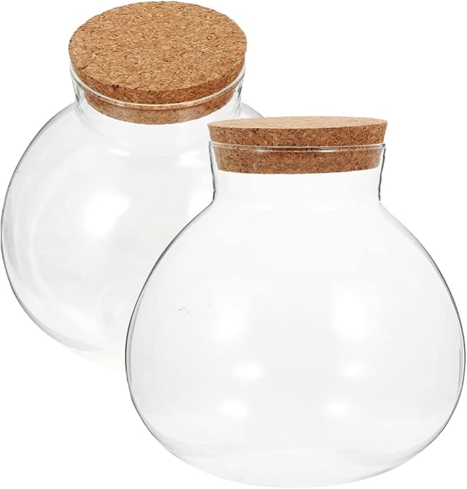 2Pcs Airtight Glass Terrarium Bottles 5.11 Inch Round Sealed Planters with Cork Lid for Succulent Plants Micro Landscape Home Decor