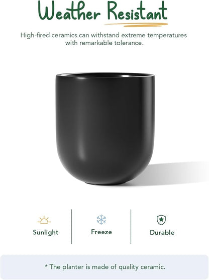 LE TAUCI 10 Inch Plant Pot, Ceramic Pots for Plants with Drainage Hole and Rubber Plug, Plant Pots Indoor for Olive Tree, Cylinder Planter Pot for Home Patio Office, Black