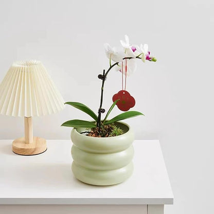 Ceramic Plant Pot Indoor, 4.5 Inch Flower Pot with Drainage Hole, Small Bubble Design Ceramic Planter for Home & Office Decor (Green)