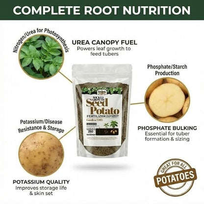 Old Cobblers Farm™ Wicked Growth Seed Potato Fertilizer-Strengthens Roots, Boosts Yields, and Supports Healthy Potato Growth with Eco-Friendly, Slow-Release Nutrients (5/10/15/20 lbs) (10lbs)