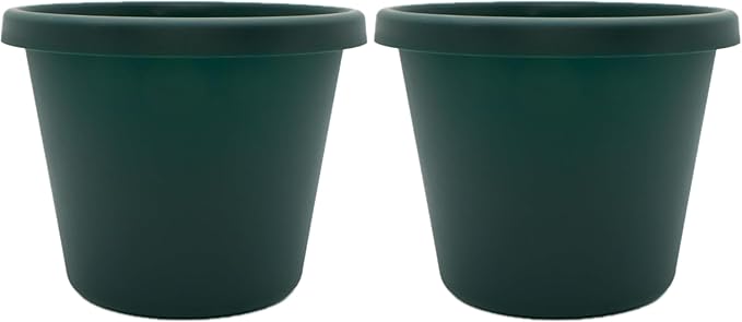 The HC Companies 10 Inch Round Prima Planter - Plastic Plant Pot with Rolled Rim for Indoor Outdoor Plants Flowers Herbs, Evergreen (Pack of 2)