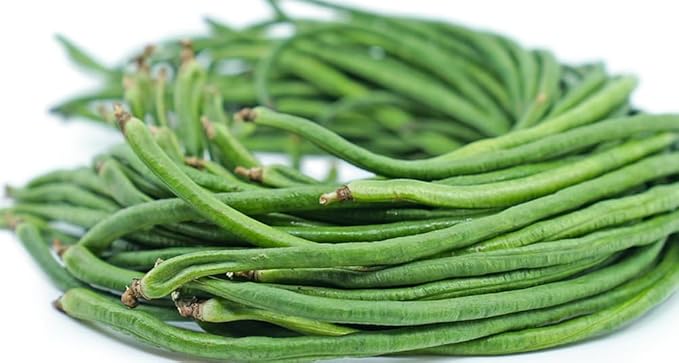 Green 100+ Seeds Snake Oriental Yard Long Pole Bean Seeds for Planting Noodle Beans Heirloom Non-GMO Delicious Vegetable Seeds