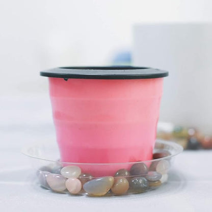 TRUEDAYS 6 Inch 5 Pack Clear Plant Saucers Flower Pot Tray Excellent for Indoor & Outdoor Plants