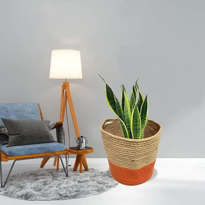 Cotton Rope Plant Basket Hand Woven; Flower Pot Indoor Planters (Large, Orange)