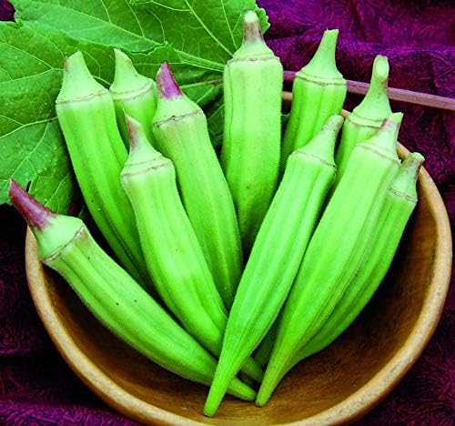 Seeds Green Okra Bamia (Lady's Finger) Non GMO Vegetable for Planting