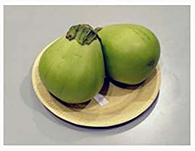 Rosa Blanca Eggplant Seeds