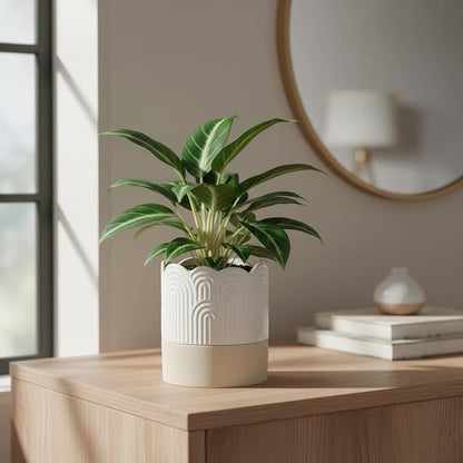Nihow Self Watering Plant Pot: 4.5 Inch Ceramic Planter with Drainage Hole & Water Storage Plus for Indoor & Outdoor Plants - Cylinder Flower Pot for Herbs/Violets - Beige & Nature