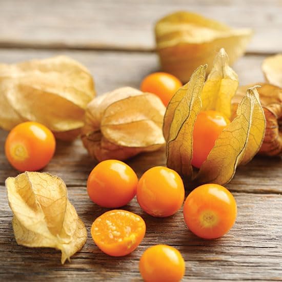 TomorrowSeeds - Strawberry Ground Cherry Seeds - 200+ Count - for 2026 Planting Orange Yellow Gooseberry Strawberry Tomato Golden Cherry Tomatillo Physalis Fruit Grow Your Own Home Farm Patio Healthy