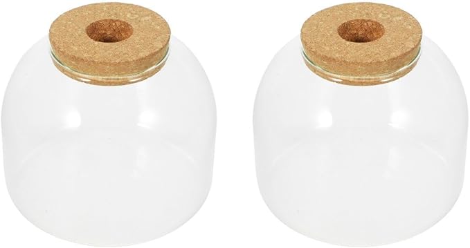 iplusmile Glass Terrarium Jar with Stopper 5.90X5.90X10.23 Inch Hydroponic Plant Container for Miniature Gardens Succulent Air Plant Display Vase for Home Office Decor