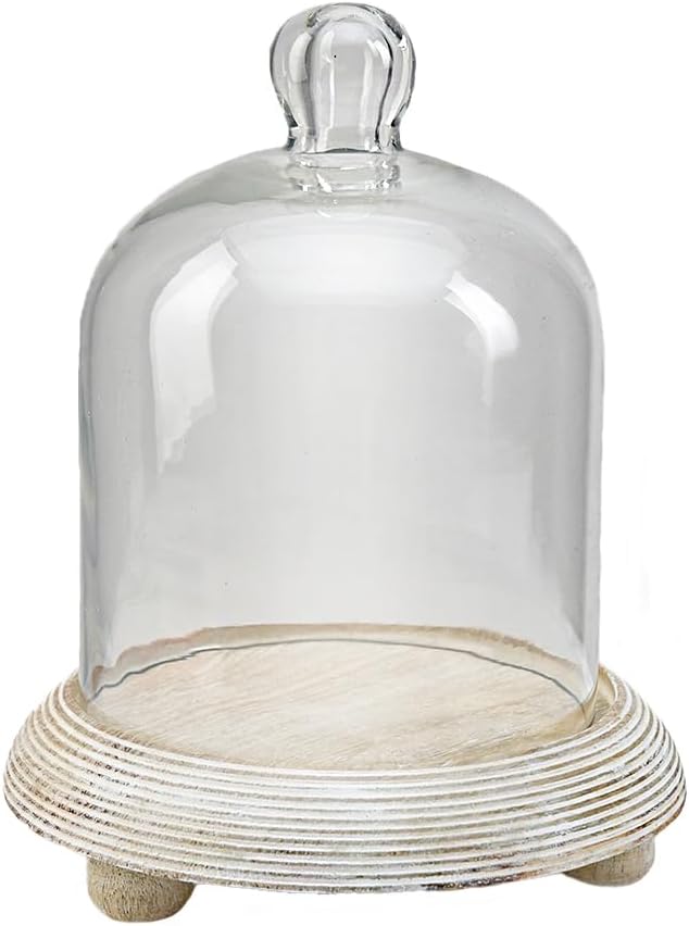 Serene Spaces Living Curio Glass Dome with Natural Wooden Base, Airplants, Flower Blooms, Accessories, Photos, Candles, Dessert Display, Home, Office Decor, Gift Idea - 6" Diameter & 7.5" Tall