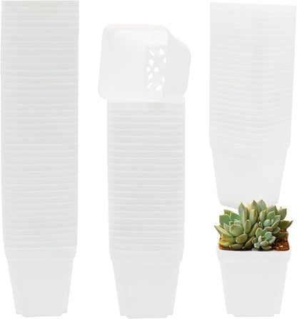 Pastic Nursery Pots 2.7 Inch 100 Pcs White Square Plant Pot Thick Balck Starter Container for Starting Seedlings or Succulents
