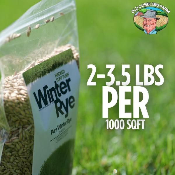 Old Cobblers Farm™ Wicked Tuff Turf Winter Rye for Lawn No Till Food Plot Seed Fall Cover Crop Mix (5 lbs | 10 lbs | 15 lbs | 20 lbs) (1 lb)