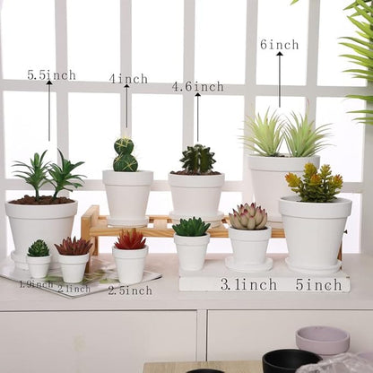 Yishang White Terra Cotta Pots with Saucer- 12-Pack Large Terracotta Pot Clay Pots 3'' Clay Ceramic Pottery Planter Cactus Flower Pots Succulent Pot with Drainage Hole
