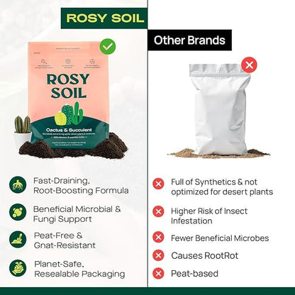 Cactus and Succulent Organic Potting Soil Mix for House Plants - Fast Draining, Root Boosting, Peat-Free, Less Prone to Gnats - Drought-Tolerant - Growth of Aloe Vera, Cacti and Indoor Succulents- 4qt