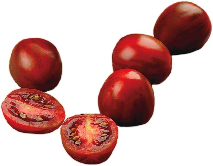 Park Seed Cherry Tomato Seeds, Planting Vegetables, Easy to Grow, Non-GMO, Variety of Colors and Sizes, Spring Garden, Chocolate Cherry, Pack of 30