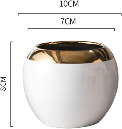 White Gold Spherical Ceramic Plant Pots Succulent Small Plant Pot Indoor Modern Decorative Indoor-Outdoor Garden Plant Pots with Drainage Holes - Plants Not Included 3.94 x 3.94 x 3.15 Inch