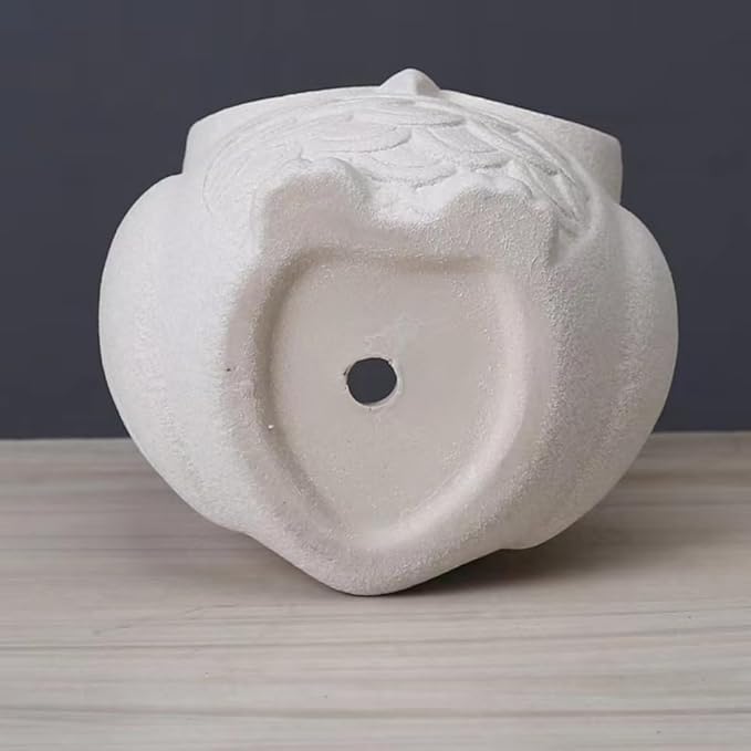 Cute Owl Succulent Planter Pot with Drainage Tray, Large White Ceramic Flower Cactus Container, Animal Shaped Indoor Air Plants Holder