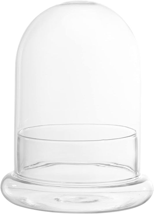Cabilock Glass Terrarium Bottle 6.10X4.72X4.72In with Clear Dome for Micro Landscape Display and Plant Humidity Control Indoor Garden Decor
