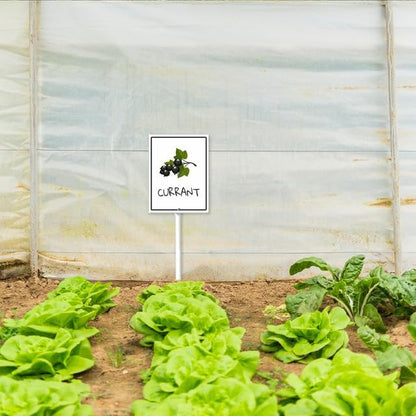 Currant Marker Yard Sign with Stakes 7in×8.8in, Sturdy Aluminum Yard Signs, Plant Markers for Vegetable Flowers Plants, Plant Labels Sign, Outdoor Garden Stakes Supplies for Plant