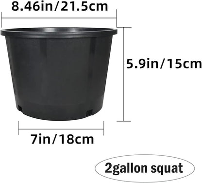 10-Pack 2 Gallon Squat Round Premium Nursery Pot Plant Flower Seedling Container Garden Planter Pots for Indoor Outdoor Plants Flower Vegetables Black (2 Gallon Squat)