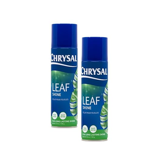 Chrysal Leaf Shine Spray for Indoor Plants – Flower Arrangement Spray for Flower Bouquets, House Plants, & More – Environmentally Safe Plant Cleaner Removes Dust – Flower & Gardening Supplies (2 Pack)