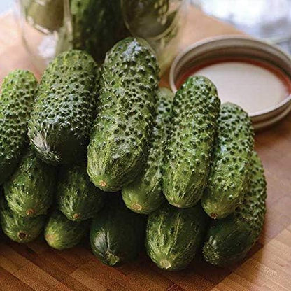 Seeds Cucumber Parisian Gherkin Open-Pollinated Pickling Non GMO Vegetable for Planting