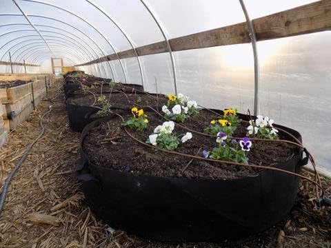 Bootstrap Farmer Large Grow Bag Raised Bed with Handles, 3 Pack, 100 Gallon
