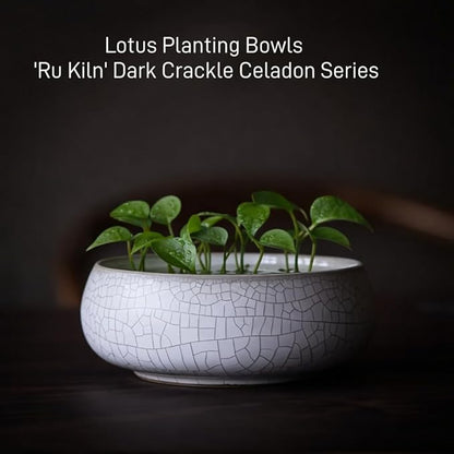 2 Pack Lotus Bowl Planter, Large 7.5'' & Small 6'' Shallow Lotus Pots for Water Planting, Drainage-Free Ceramic Hydroponic Bowl for Lotus Seeds, Ikebana, Succulents & Water Lilies (Kiln Split)