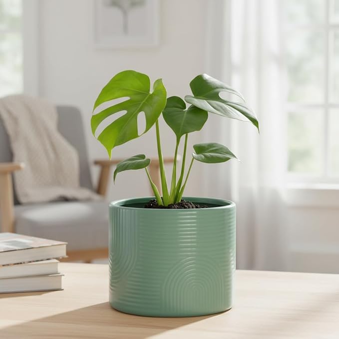 6 Inch Ceramic Plant Pot – Indoor & Outdoor Flower Planter for Succulents, Herbs & Small Plants – Thick-Walled Modern Design – Sage Green