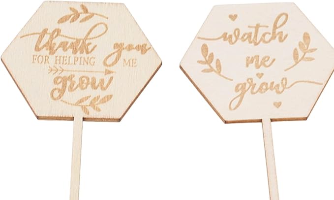 Watch Me Grow Succulent Tags, 36pcs Hexagon Plant Stakes Labels Baby Shower Succulent Tag for Seed Flowers Garden Potted Plants