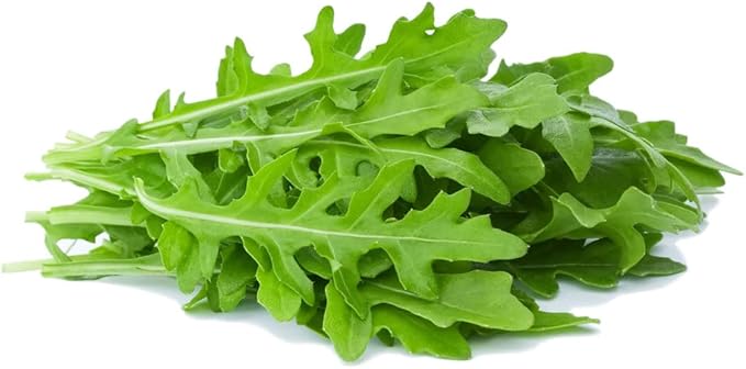 Todd's Seeds Sprouting Arugula Seeds Microgreens for Salads and Sandwiches, One Pound of Seed, Non-GMO, Chemical Free, Grown in The USA, Hand Inspected