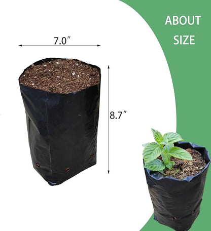 Belit Nursery Growing Bags, 100 Pcs Black Plastic Seedling Pots for Gardening Seed Plant Bags, Fruit Tree Seedling, Starting saplings(7"x8.7")