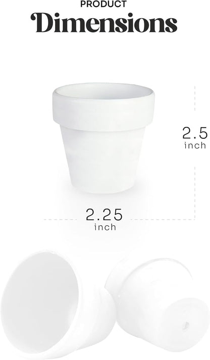 12pcs Mini White Pots – Small White Pots for Indoor or Outdoor Plants, Mini Planters for Flowers and Greenery, for Plant Lovers