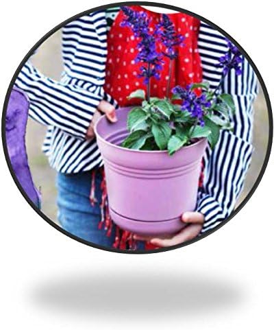 Bloem SP0512 Saturn Planter, 5-Inch, Union Red