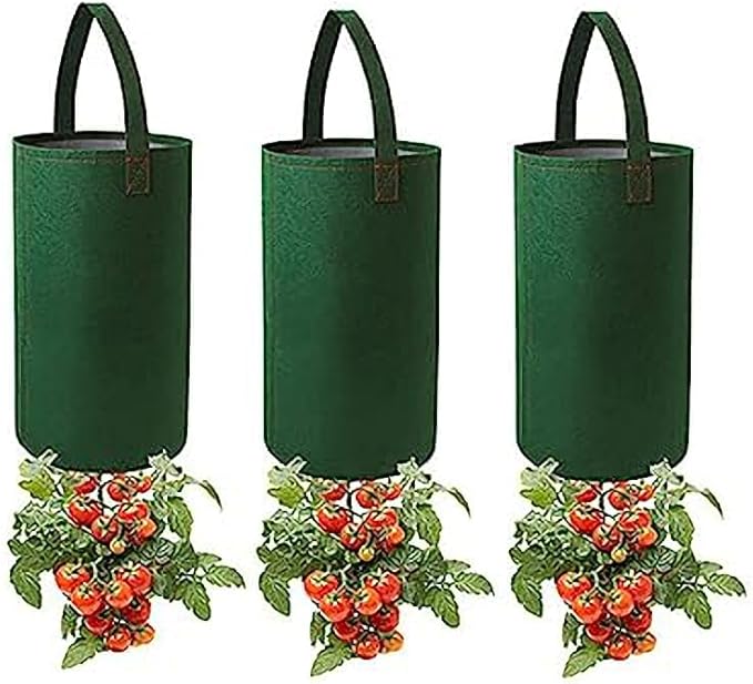 Ulalaza 3PCS Potato Grow Bags with Flap Plant Grow Bags Fabric Multi Ribbon Potato Bag Tomato Vegetable Growth Non-Woven Felt Planting Bag Transparent