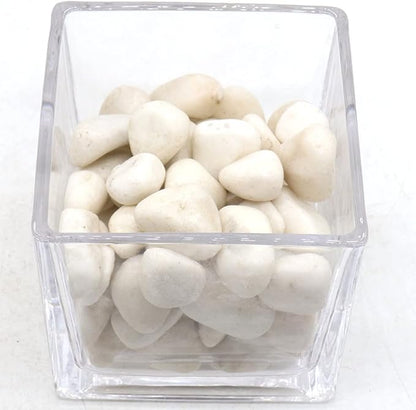 White Rocks for Plants. White Decorative Polished Pebbles. 1 to 2 Inch – 10lbs for Plants, Garden, Succulents, pots, Plants (MD (1 to 2 Inch), White - Lightly Polished, 10)