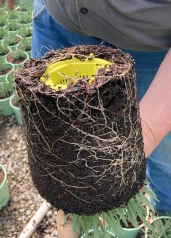 Air Prune Roots in Container-Grown Plants. Prevents Root Rot and Overwatering. Stronger, Healthier Plants. Indoor. Outdoor. Reusable. for All existing containers and Grow Bags.