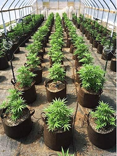 Best Root Pouch 7 Gallon (10 Pack) Fabric POTS and Grow Bags from MAUI MIKE'S.Soft POTS Have Sewn Handles for Easy Moving Grow Bigger and Healthier Tomatoes,Herbs and Veggies.